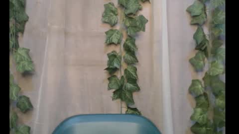 linda online show from 09.30.25