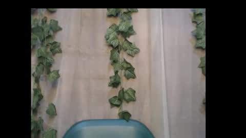 linda online show from 10.03.25