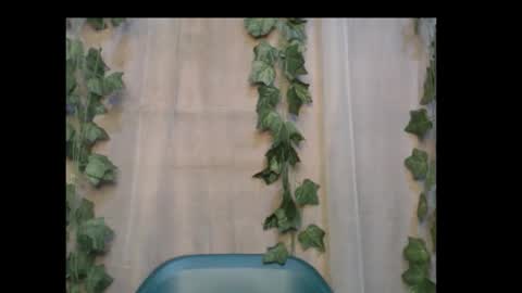 linda online show from 10.14.25