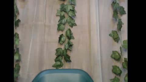 linda online show from 11.08.25