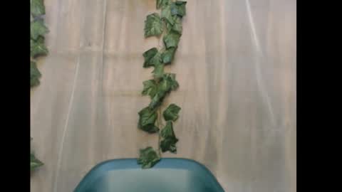 linda online show from 12.15.25