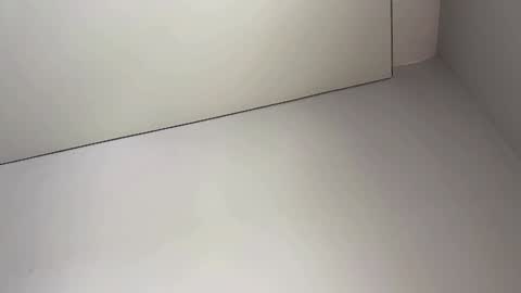 Snapshot of drunk_bosss chatting on 02.05.25 Bella online show from 02.05.25