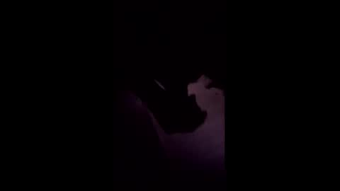 drush1973 online show from 01.18.26