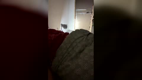 drzinedaj online show from 03.08.26