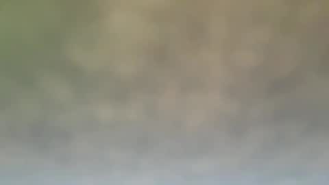 Snapshot of dt51114 chatting on 12.21.24 StraightStroker online show from 12.21.24