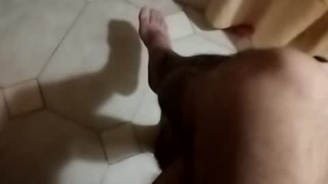 dthedog12 online show from 09.30.25