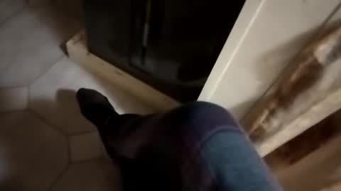 dthedog12 online show from 10.24.25