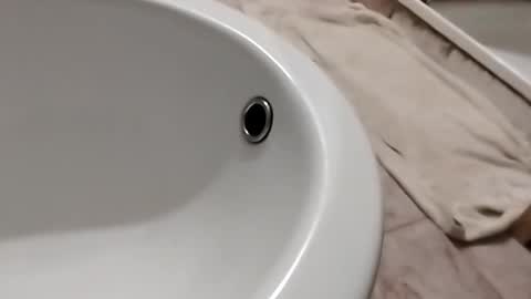 dthedog12 online show from 11.01.25