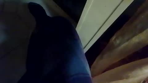 dthedog12 online show from 01.09.26