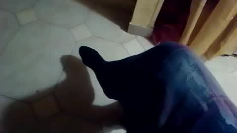 dthedog12 online show from 02.08.26