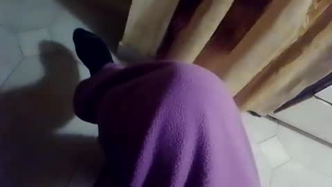 dthedog12 online show from 02.10.26