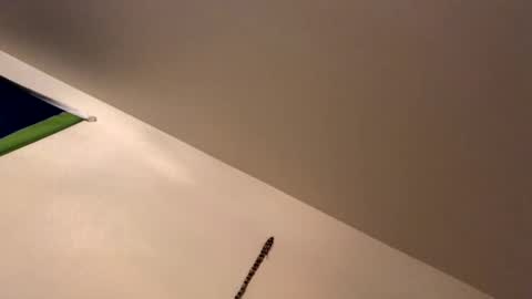 ducebabydee online show from 01.19.26