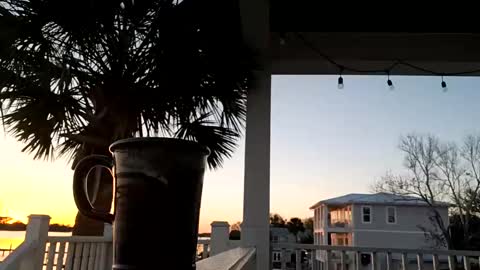 duke_lordly online show from 03.11.25