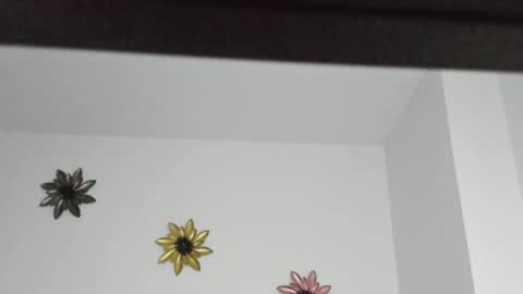 Snapshot of dulce_roberts_ chatting on 01.05.25 Dulce  online show from 01.05.25