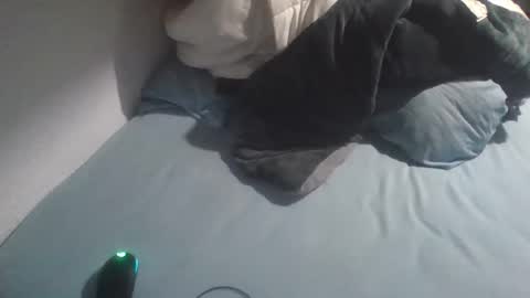 Snapshot of dv3nd3 chatting on 01.12.26 dv3nd3 online show from 01.12.26