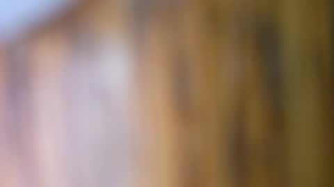 dVe1oPe online show from 09.10.25