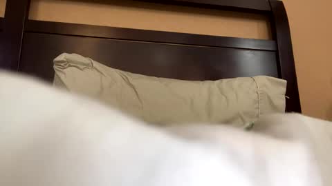 earl3232 online show from 02.14.26