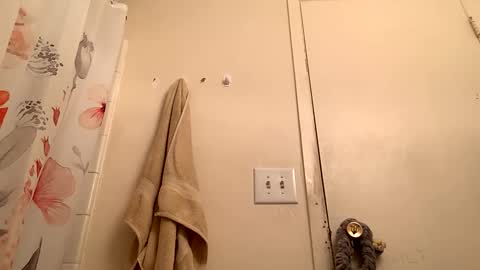 Snapshot of easybreeze69 chatting on 01.21.25 easybreezy69 online show from 01.21.25