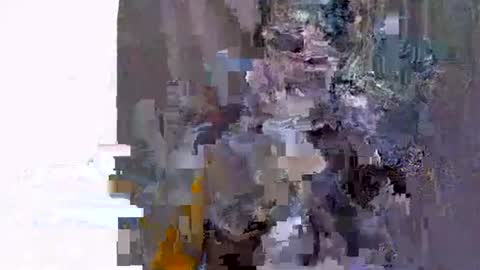 Snapshot of ebonyfire99 chatting on 11.19.25 ebonyfire99 online show from 11.19.25