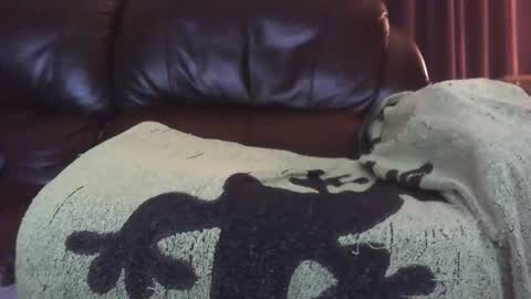 Snapshot of ectopicstarfish chatting on 12.13.24 Ectopicstarfish online show from 12.13.24