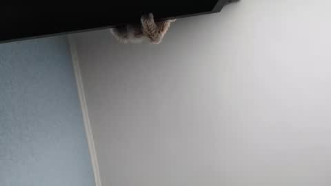 edithmanning online show from 03.13.26