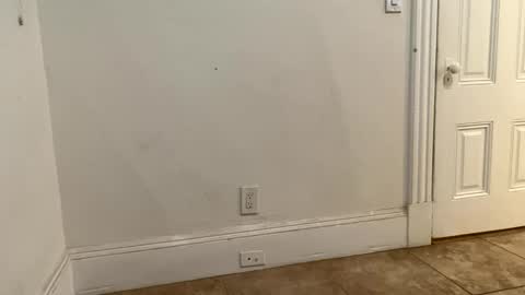 Snapshot of edvmendez1766 chatting on 11.18.25 edvmendez1766 online show from 11.18.25