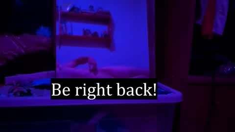 Alex online show from 02.03.26