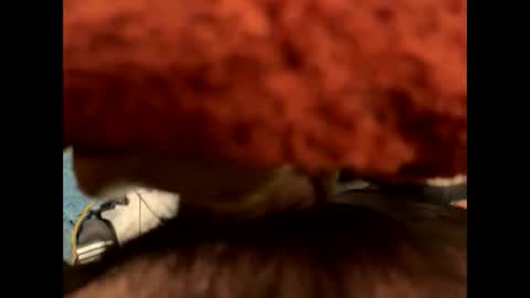 ehdgher online show from 11.06.25