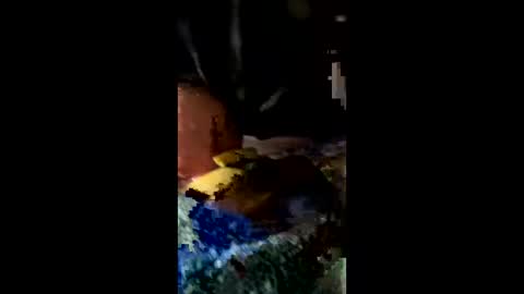 ehdgher online show from 02.27.26