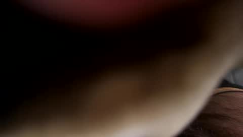 ehdgher online show from 04.21.26