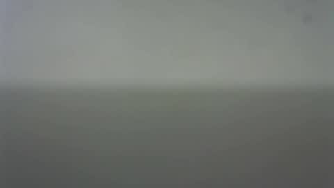 Snapshot of eider122 chatting on 02.22.26 EIder online show from 02.22.26