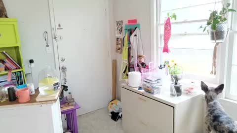 ejrabloom online show from 04.01.26