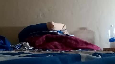 Snapshot of el131140 chatting on 01.05.25 Sebastin online show from 01.05.25