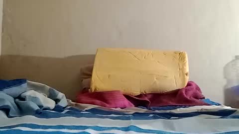 Snapshot of el131140 chatting on 10.31.25 Sebastin online show from 10.31.25