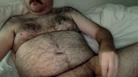 elabear online show from 06.22.26