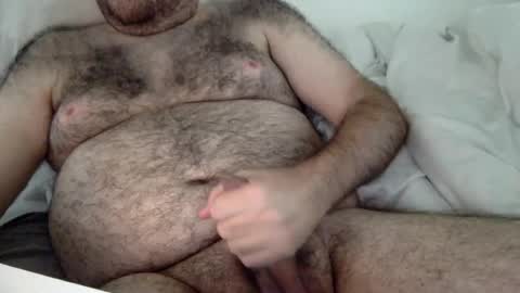 elabear online show from 08.02.26