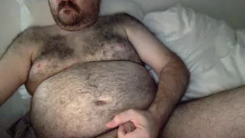 elabear online show from 08.04.26