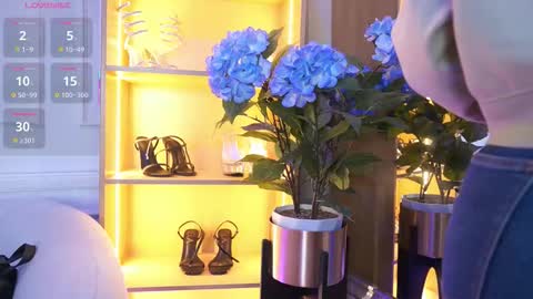 Elasummeer online show from 11.10.25