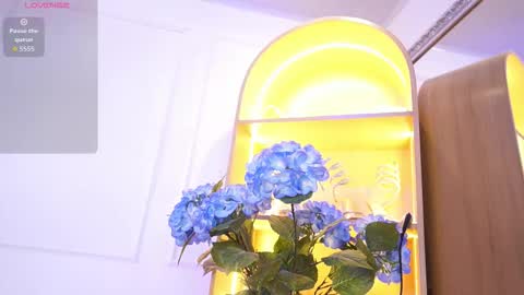 Elasummeer online show from 12.18.25