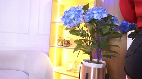 Elasummeer online show from 01.14.26