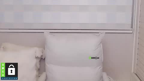 Snapshot of eleanore1 chatting on 12.15.25 eleanore online show from 12.15.25