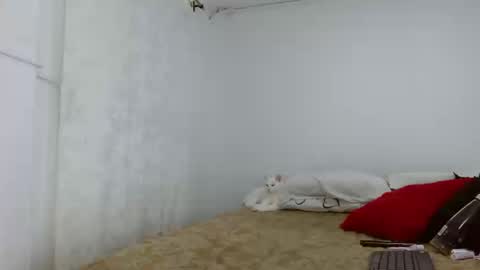 Snapshot of elektratattoo chatting on 09.16.25 elektra online show from 09.16.25