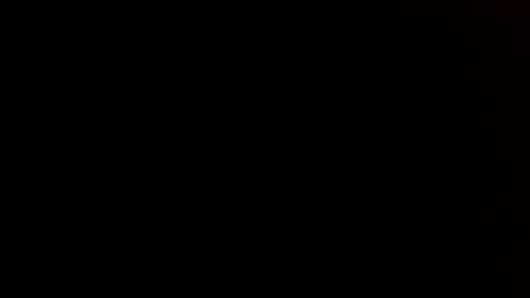 Snapshot of elessar_telcontar chatting on 01.27.25 elessar_telcontar online show from 01.27.25