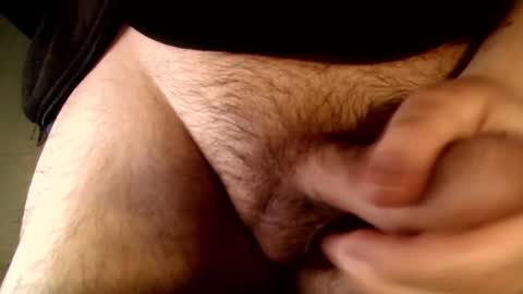 Snapshot of elessar_telcontar chatting on 01.29.25 elessar_telcontar online show from 01.29.25