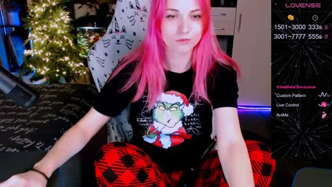 Snapshot of elfos_dream chatting on 12.26.24 Mary online show from 12.26.24