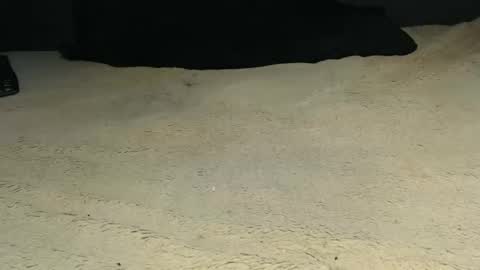 elgsslt online show from 04.09.26