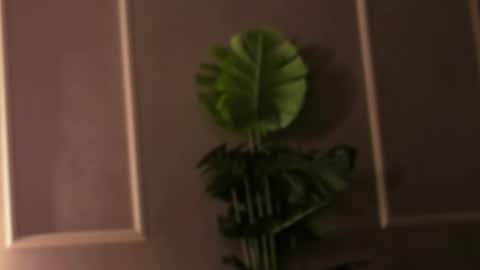 Eli online show from 02.18.25