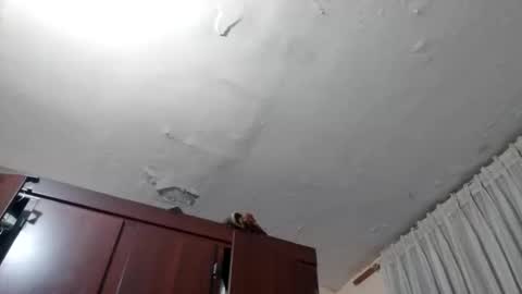 Snapshot of elianis598477 chatting on 02.10.26 elianis598477 online show from 02.10.26