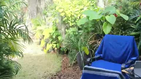 Snapshot of eliberator chatting on 01.18.25 eliberator online show from 01.18.25