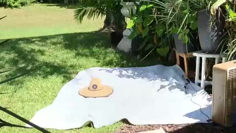 Snapshot of eliberator chatting on 09.21.25 eliberator online show from 09.21.25